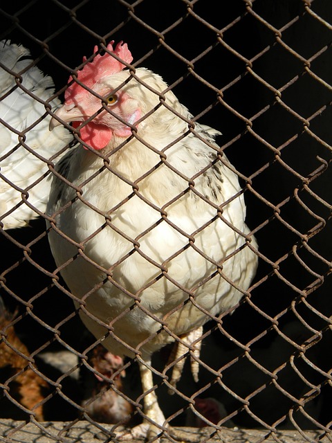 曾对自己的 曾对自己的