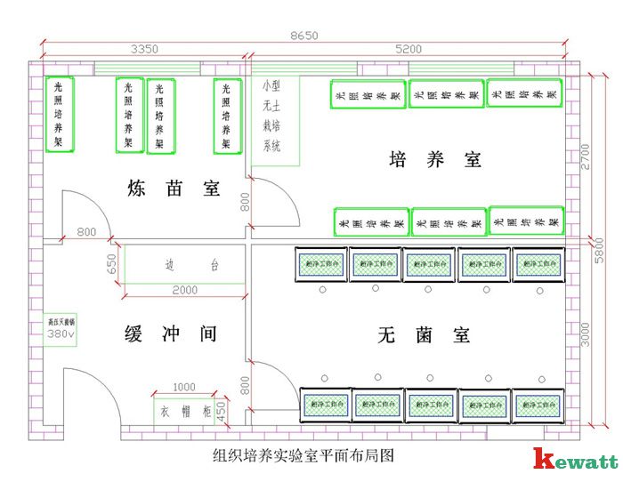 植物细胞实验室平面设计图